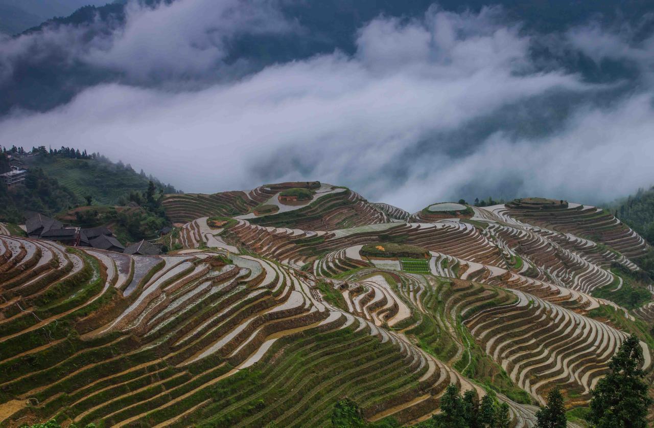 Longji Holiday Hotel Луншэн Экстерьер фото